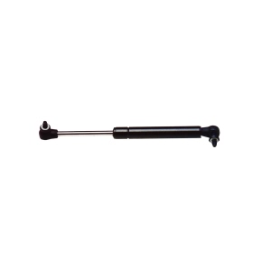 StrongArm Liftgate Lift Support for 1999 Dodge Durango - 4290