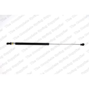 lesjofors Trunk Lid Lift Support for 2010 BMW 328i - 8108426