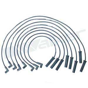 Walker Products Spark Plug Wire Set for 1986 Chevrolet C20 Suburban - 924-1427