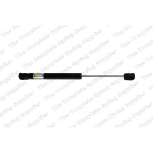 lesjofors Trunk Lid Lift Support for Audi A4 - 8104234