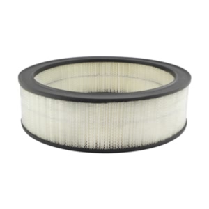 Hastings Air Filter for 1986 Chevrolet Monte Carlo - AF145