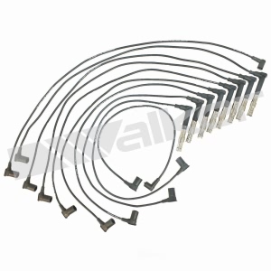 Walker Products Spark Plug Wire Set for Mercedes-Benz 500SEC - 924-1391