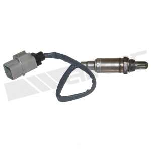 Walker Products Oxygen Sensor for 2000 Infiniti G20 - 350-34382