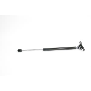 StrongArm Hood Lift Support for 2008 Honda Accord - 6175