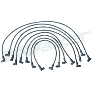 Walker Products Spark Plug Wire Set for Pontiac Phoenix - 924-1394