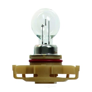 Hella Standard Series Halogen Miniature Light Bulb for 2011 Jeep Patriot - PSX24W
