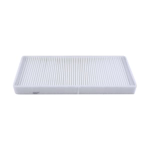 Hastings Cabin Air Filter for 2006 Ford Freestar - AFC1067