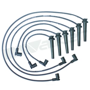 Walker Products Spark Plug Wire Set for 2000 Mazda MPV - 924-1689