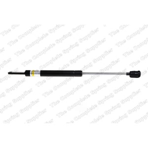 lesjofors Hood Lift Support for 2000 BMW Z3 - 8008411