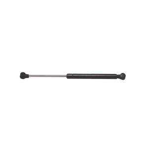 StrongArm Liftgate Lift Support for 2004 Pontiac Aztek - 6529