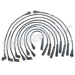 Walker Products Spark Plug Wire Set for 1986 Nissan D21 - 924-1153