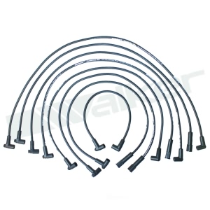 Walker Products Spark Plug Wire Set for 1986 Chevrolet C20 Suburban - 924-1528