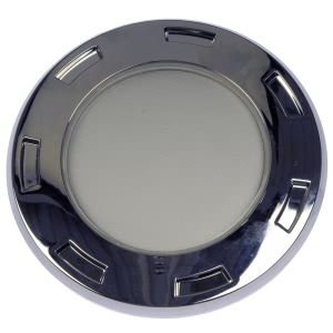 Dorman Chrome Wheel Center Cap - 909-012