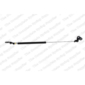 lesjofors Driver Side Liftgate Lift Support - 8162002