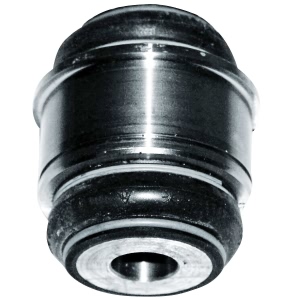 Delphi Rear Lower Control Arm Bushing - TD1166W