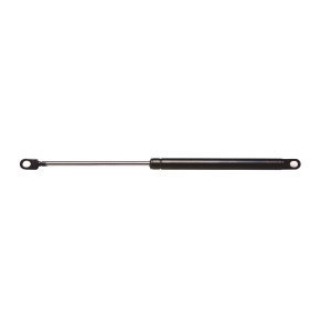 StrongArm Liftgate Lift Support for 1984 Chrysler Town & Country - 4442