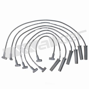 Walker Products Spark Plug Wire Set for 1986 Jeep Comanche - 924-1335