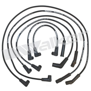 Walker Products Spark Plug Wire Set for 1989 Buick Century - 924-1229