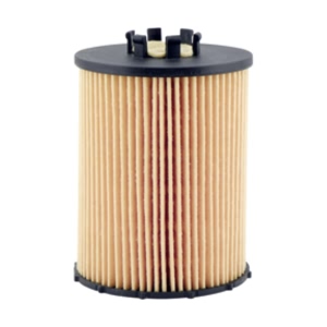 Hastings Engine Oil Filter Element for 2006 BMW 760Li - LF646