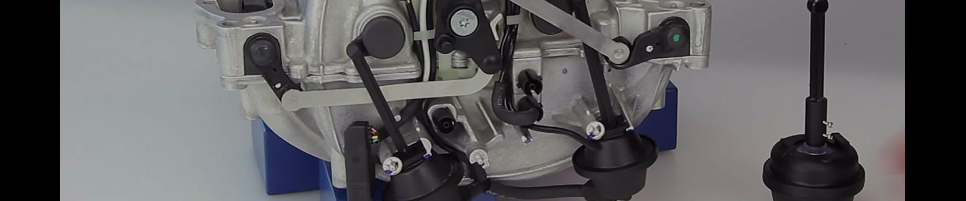 VAICO Power Steering Gear Seal at AutoPartsPrime